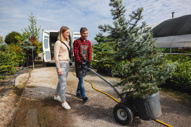 Best Tree Removal Near Me  in Parsons, KS